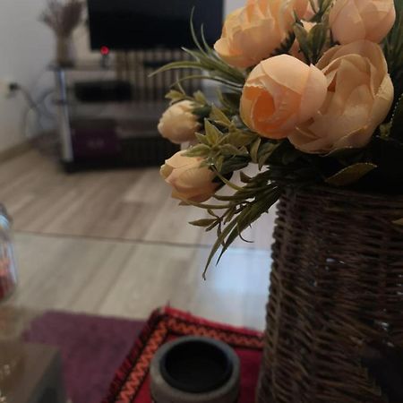 克拉奥华Deea Apartament公寓 外观 照片